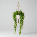 Ophelia - Planta Artificial Colgante