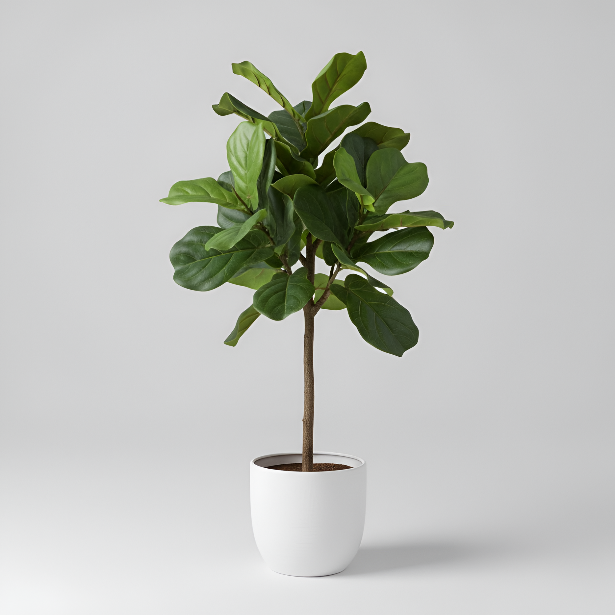 Marisol - Planta Artificial